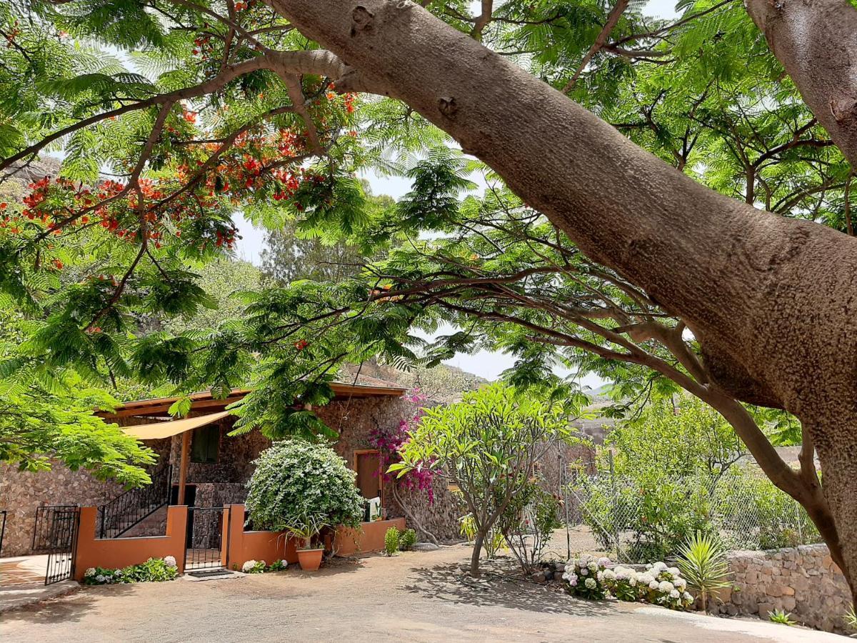 Peaceful House Set On A Vineyard & Work Friendly Villa Valsequillo de Gran Canaria Buitenkant foto