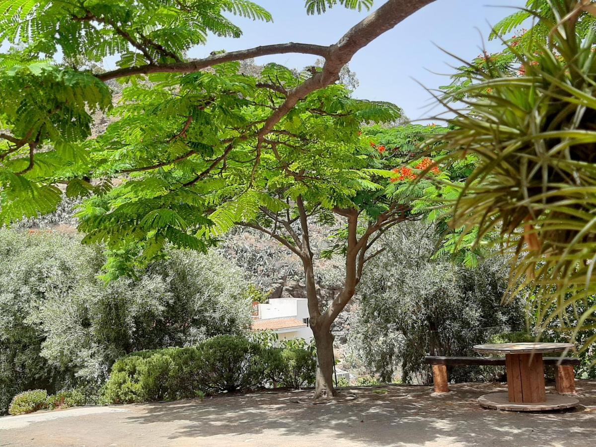 Peaceful House Set On A Vineyard & Work Friendly Villa Valsequillo de Gran Canaria Buitenkant foto