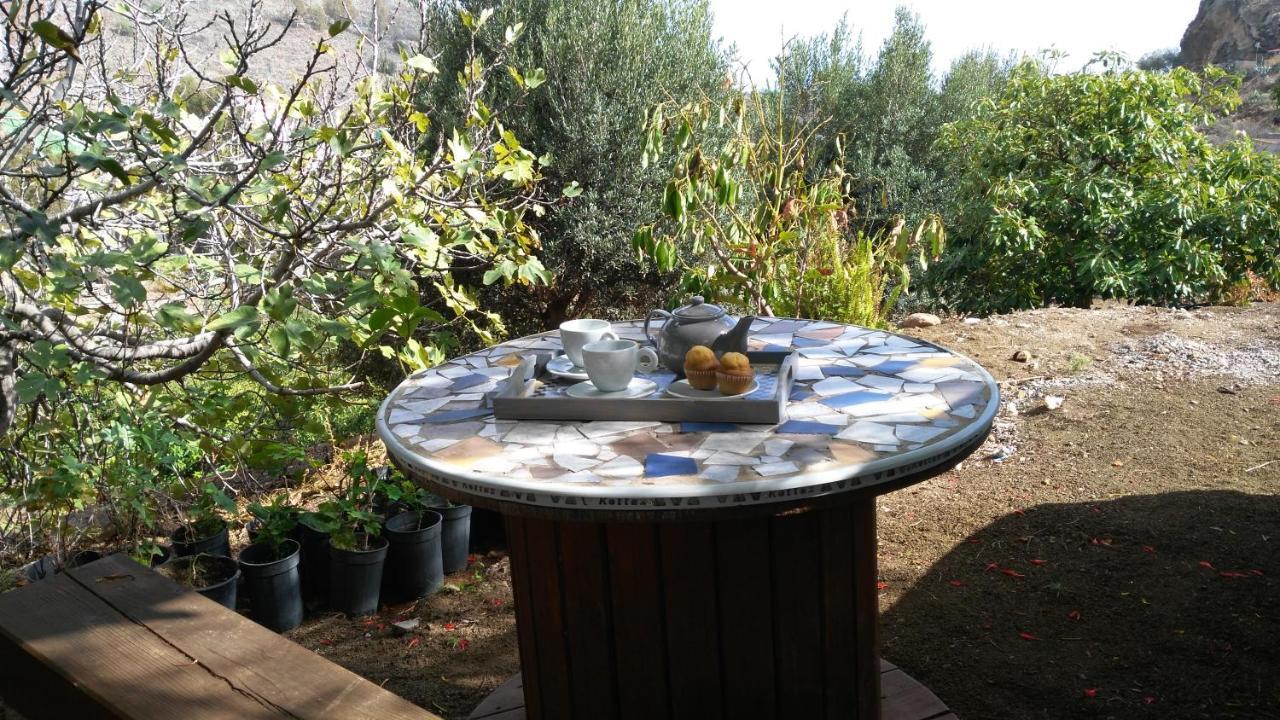 Peaceful House Set On A Vineyard & Work Friendly Villa Valsequillo de Gran Canaria Buitenkant foto